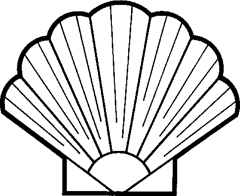 Seashell Shell Image Image Png Clipart