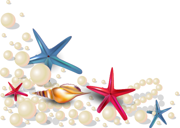 Summer Shell Starfish Pearl Seashell Euclidean Vector Clipart