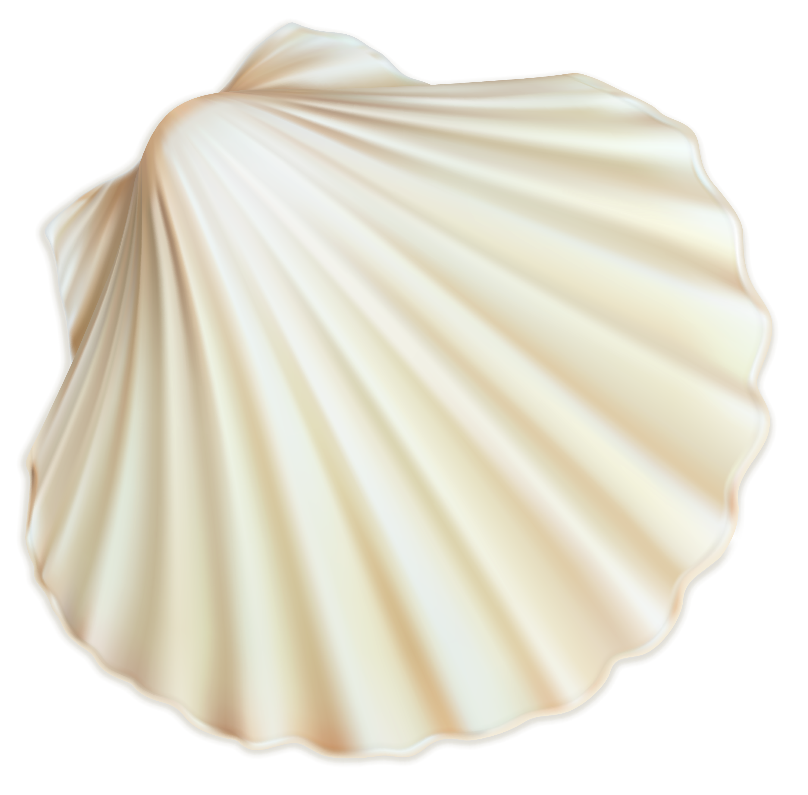 Shell Restaurant Seashell Spiral Sea White Trust Clipart
