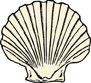 Seashell Black And White Images Free Download Png Clipart