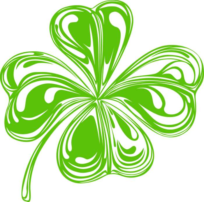 Browse Shamrock For You Hd Photo Clipart