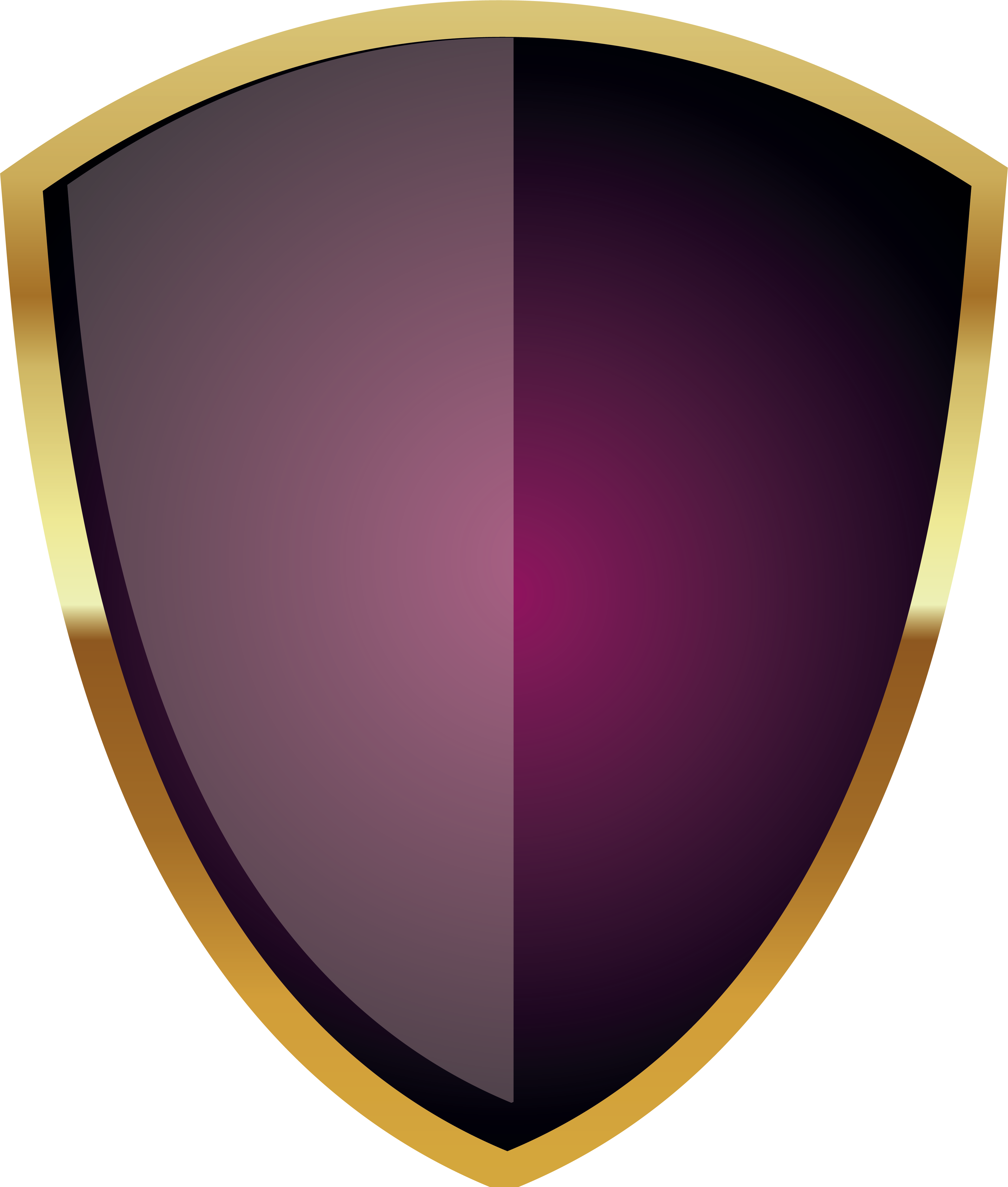 Download Warrior Shield Icon Free Transparent Image Hd Clipart Png Free Freepngclipart