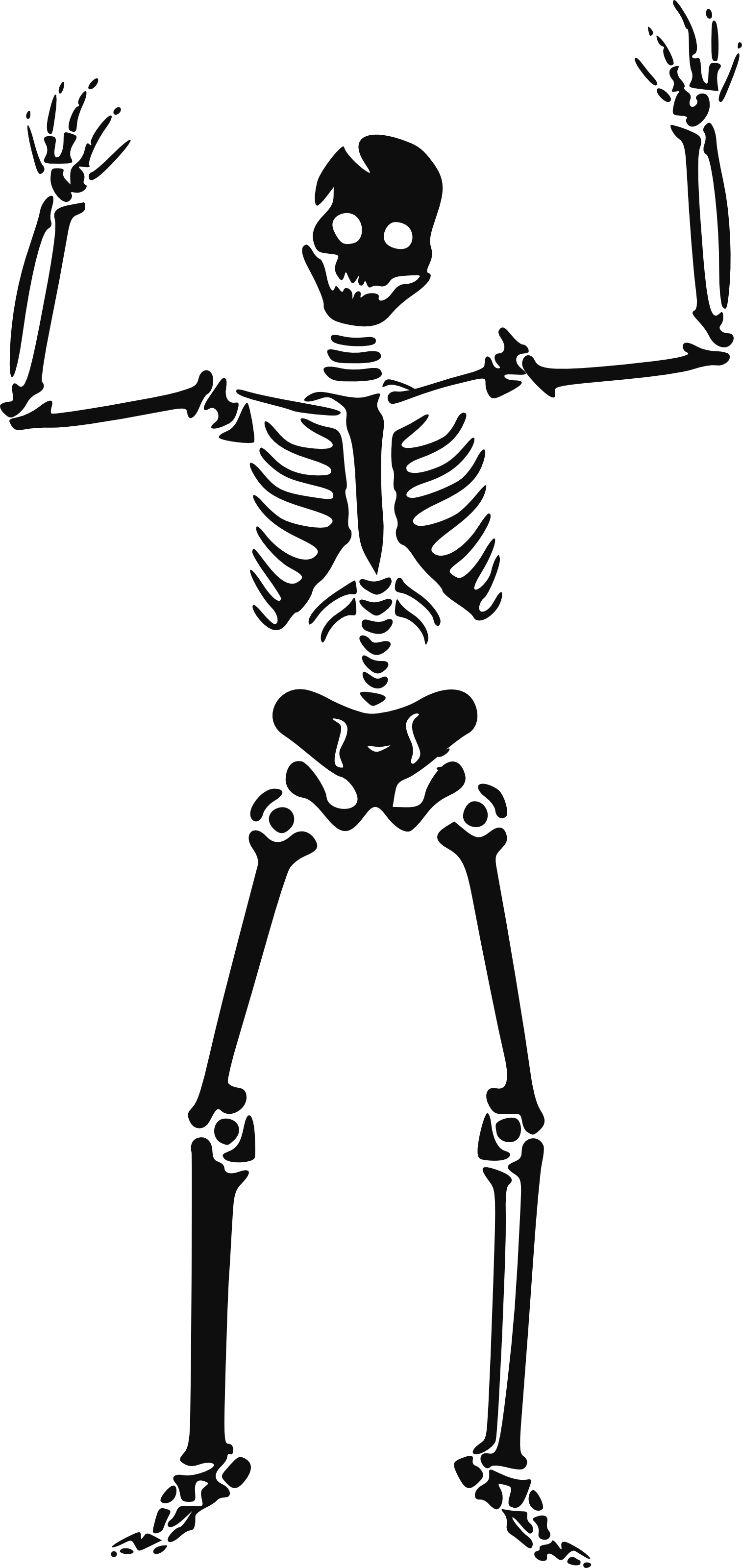 Halloween Skeleton Images Image Hd Photo Clipart