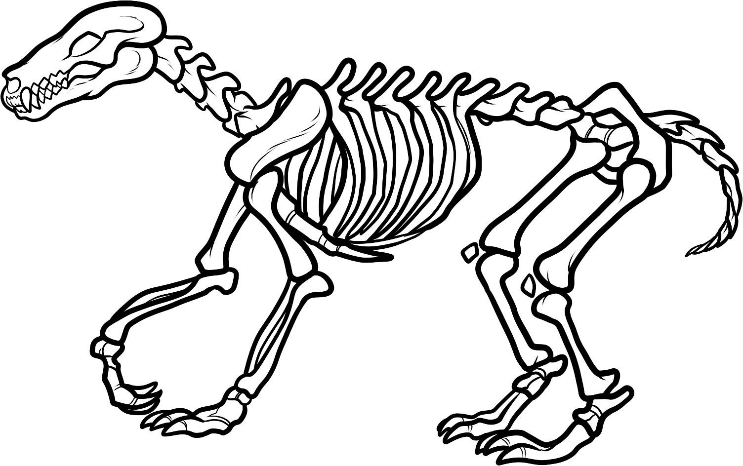 Dinosaur Skeleton Images Hd Photo Clipart