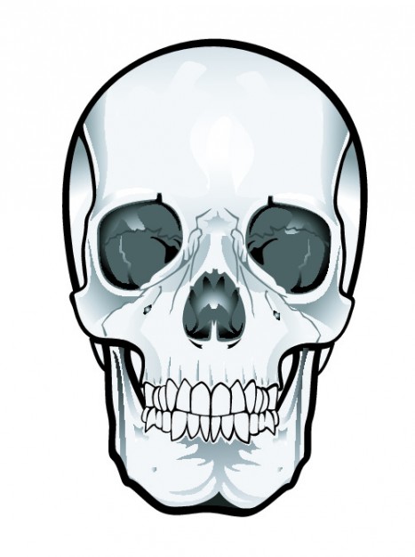 Frontal Skull Vector Download Transparent Image Clipart