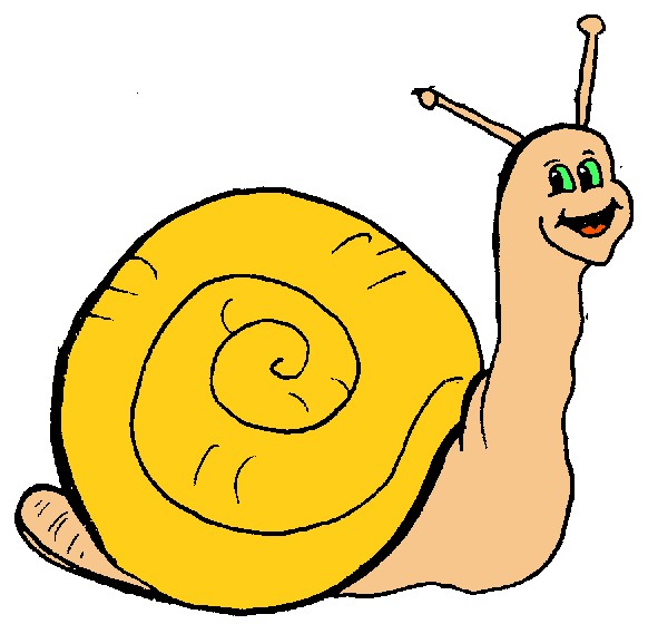 Snail For Work Study And Hd Photo Clipart