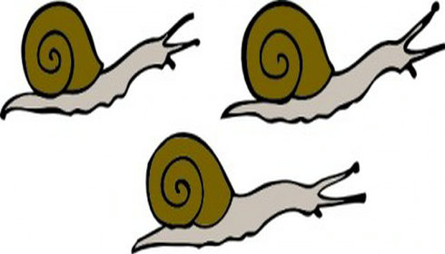 Snail Vector Image Hd Photos Clipart