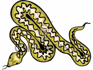 Snake Images Images Transparent Image Clipart