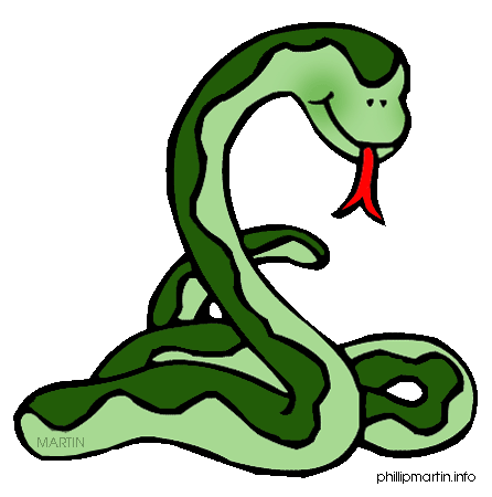 Snake Images Hd Photo Clipart