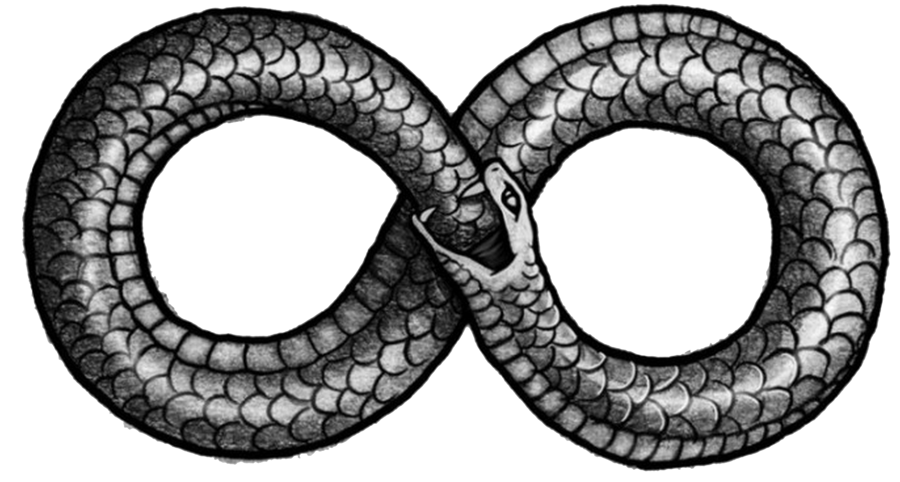 Picture Eating Serpent Cosmic Tail Snake The Clipart
