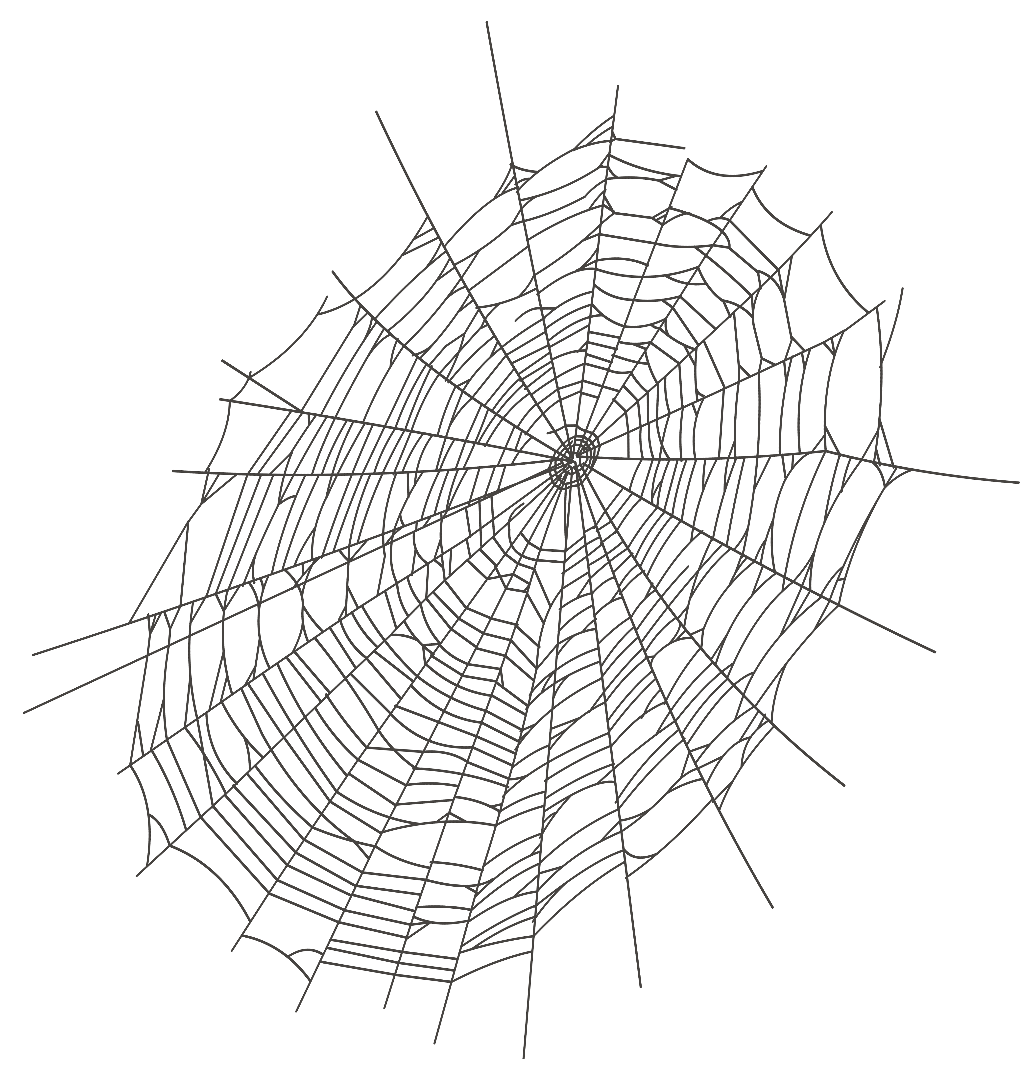 Halloween Large Spider Web Free Download Png Clipart