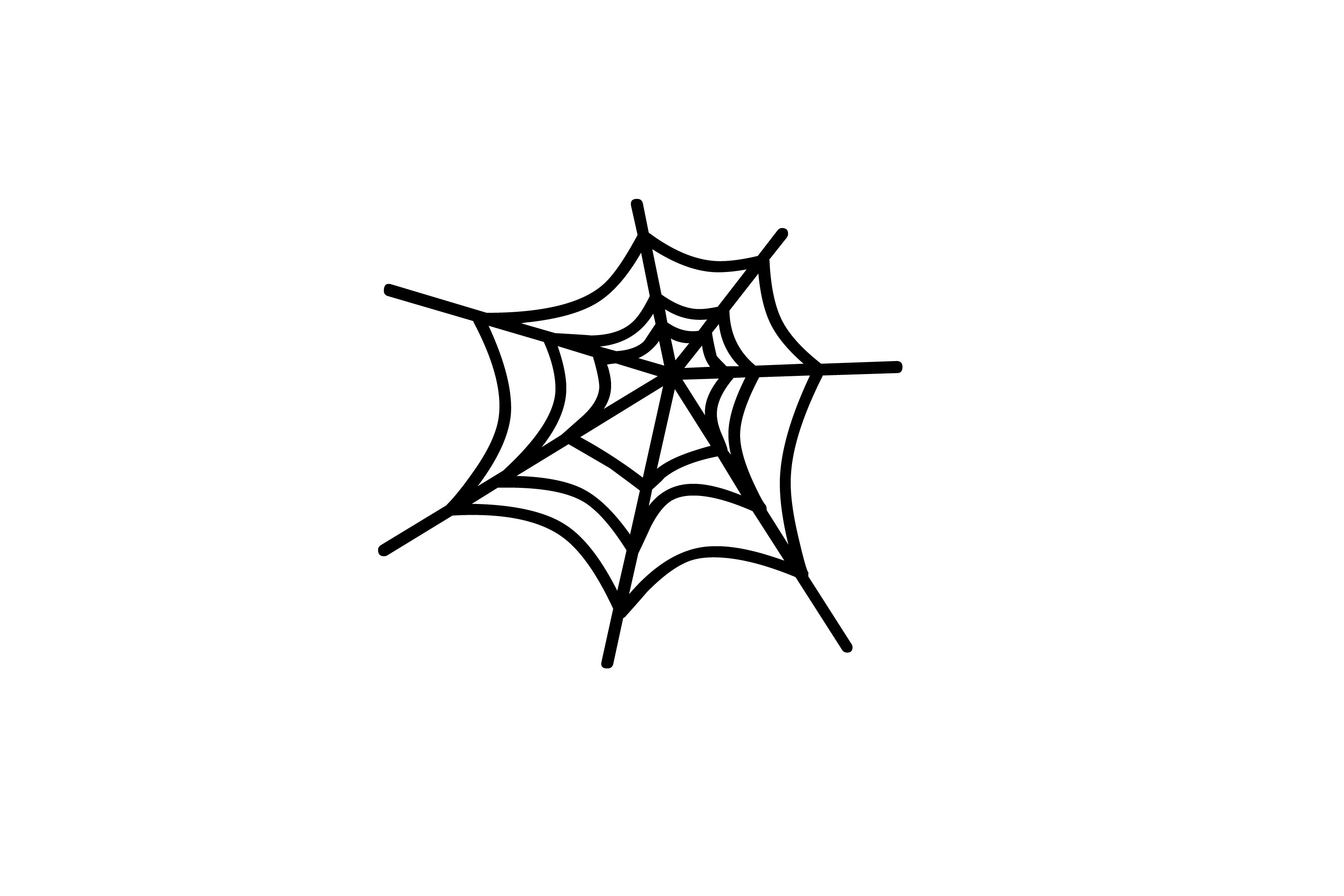 Clipart Spider Web Transparent Image Clipart