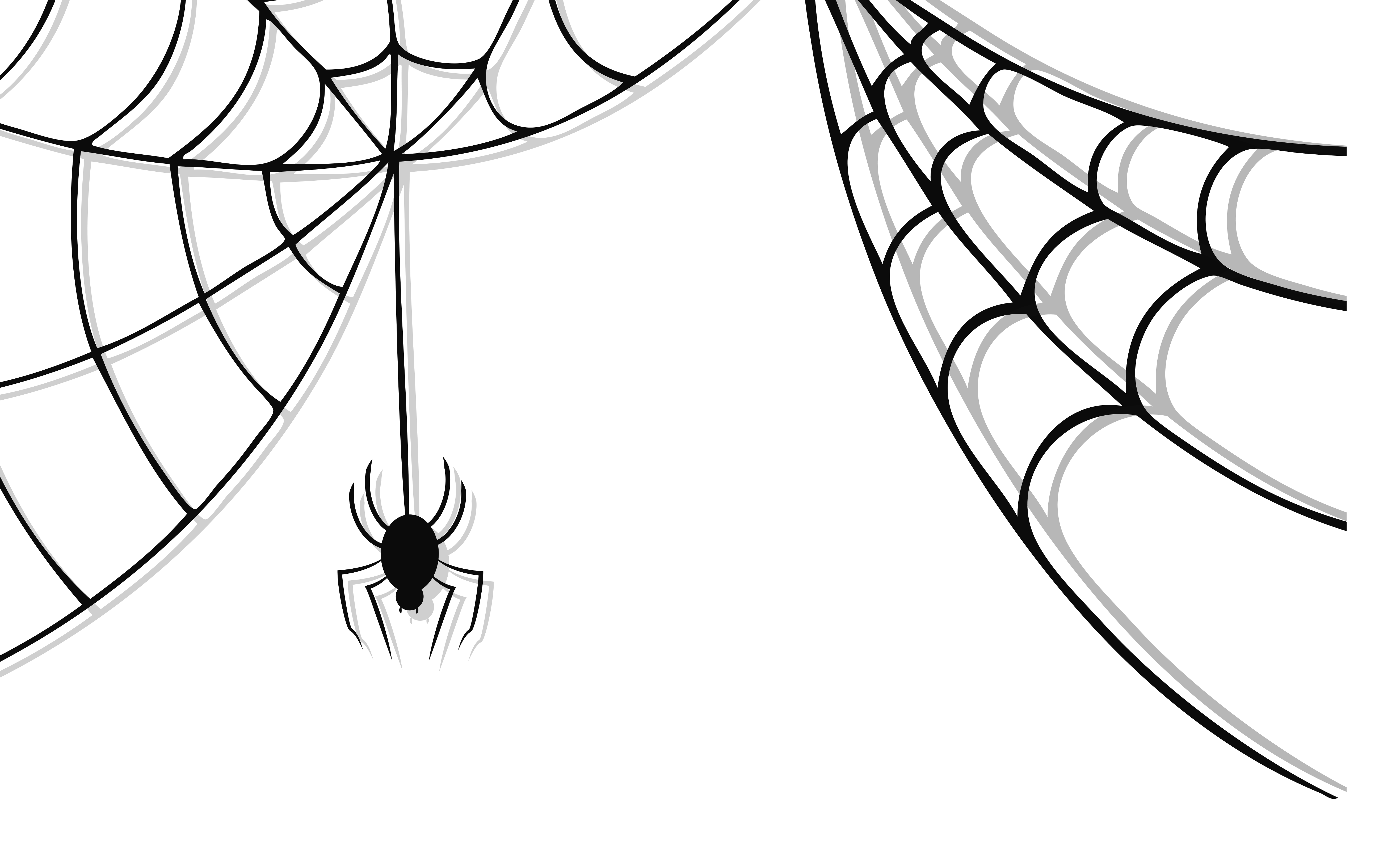 Cute Spider Web Images Free Download Clipart