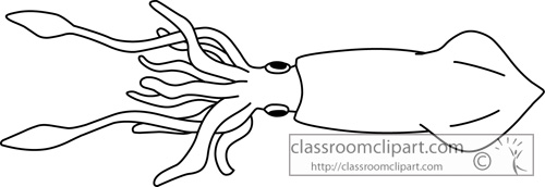 Giant Squid Image Png Clipart