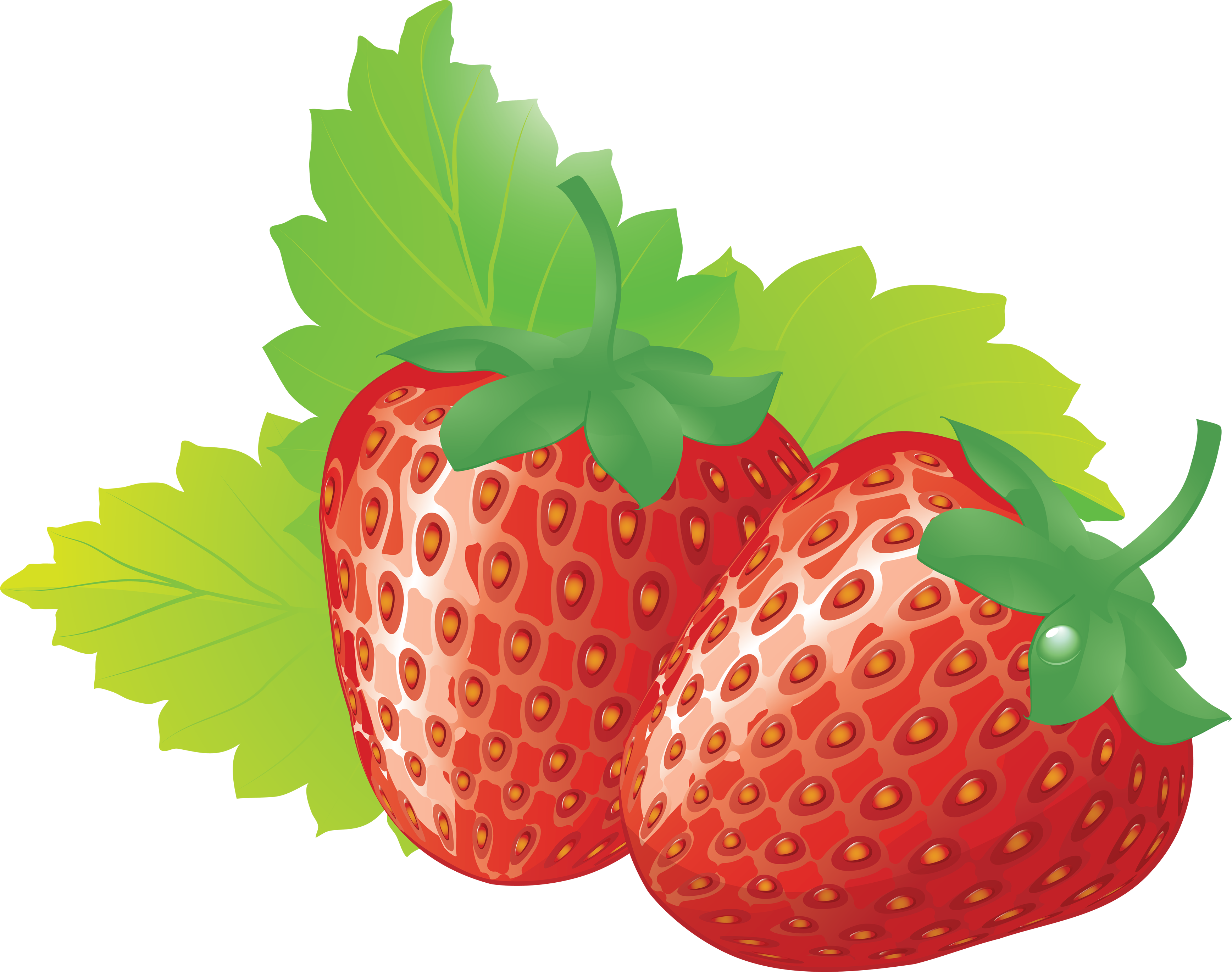 Strawberry Image Picture Download Hd Photos Clipart