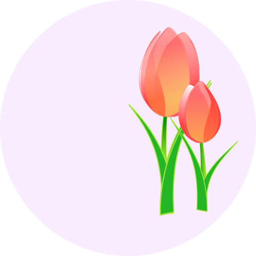 Of A Tulips Clipart