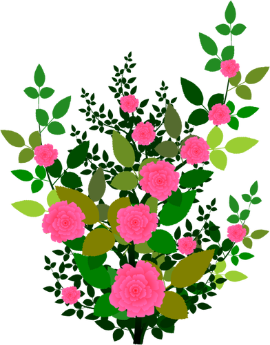 Pink Roses Clipart