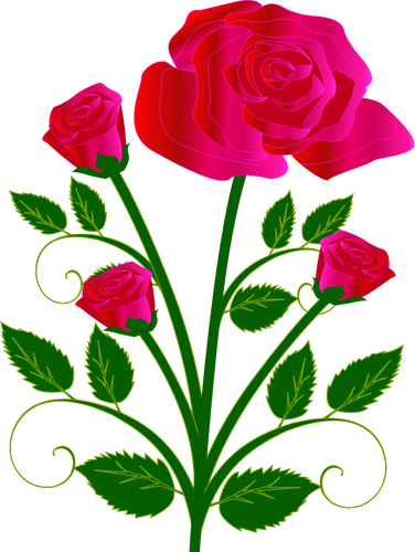 Of Four Roses On One Stam Clipart