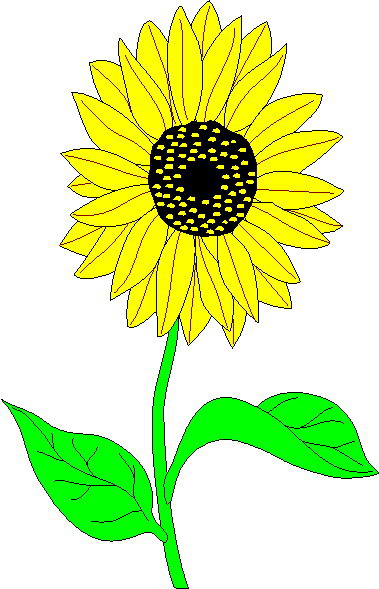 Sunflower Free Download Png Clipart