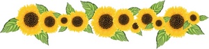 Sunflower 5 Com Hd Photo Clipart