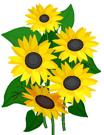 Sunflower 2 Com Free Download Clipart