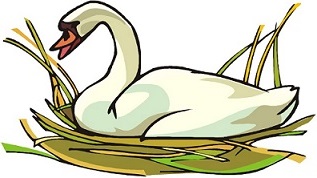 Free Swan Png Images Clipart