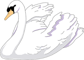 Free Swan Png Image Clipart