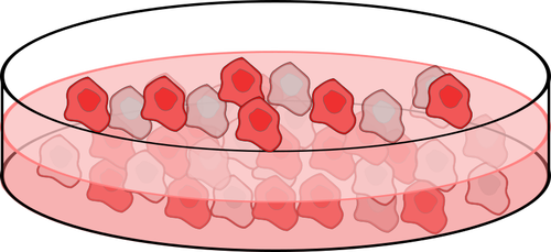 Image Of Cell Culture Dish Clipart
