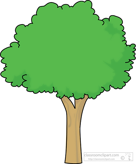 Free Trees Pictures Graphics Illustrations Png Images Clipart