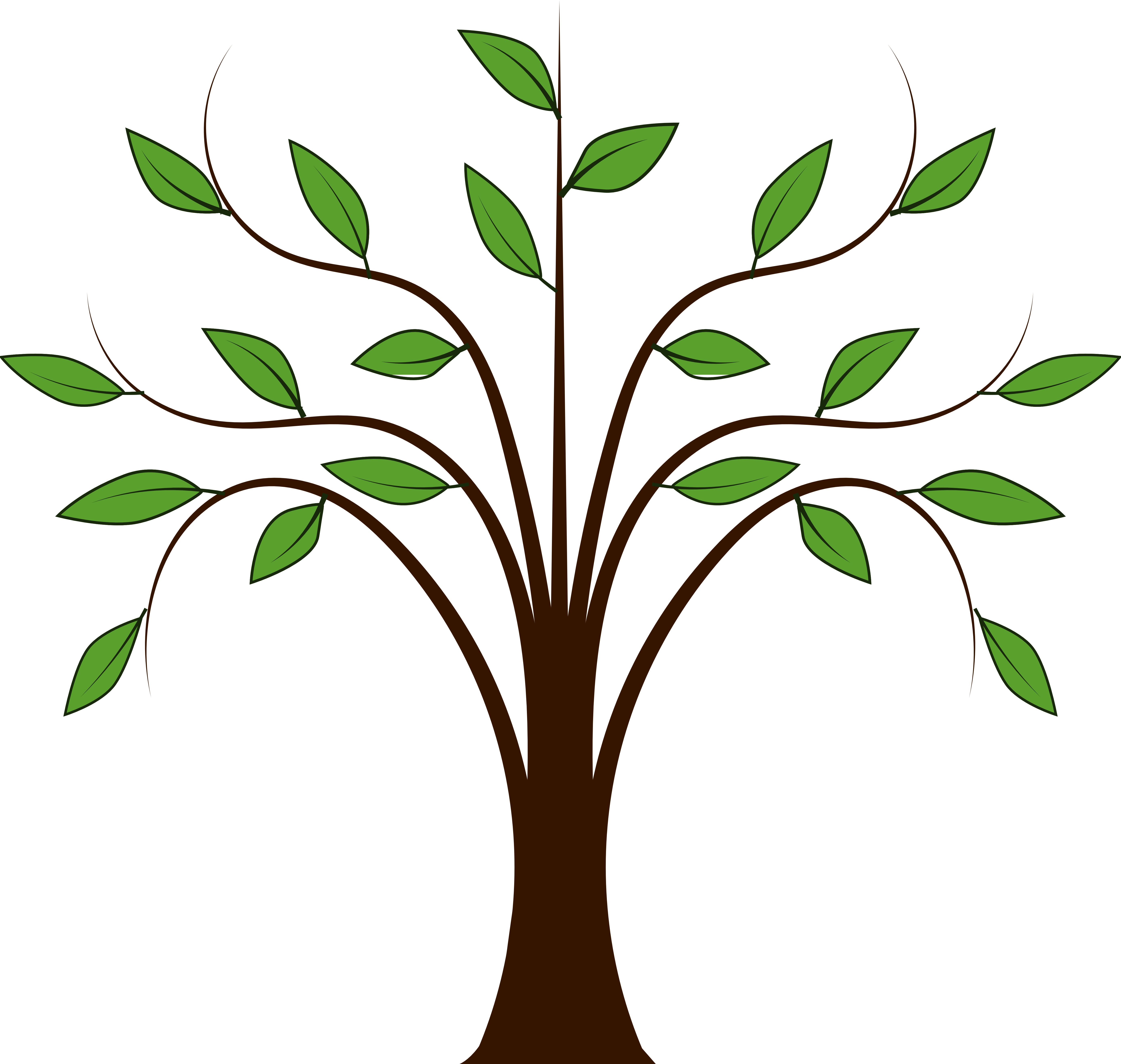 Trees Family Tree Images Hd Image Clipart