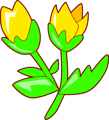 Yellow Tulip Clipart Clipart