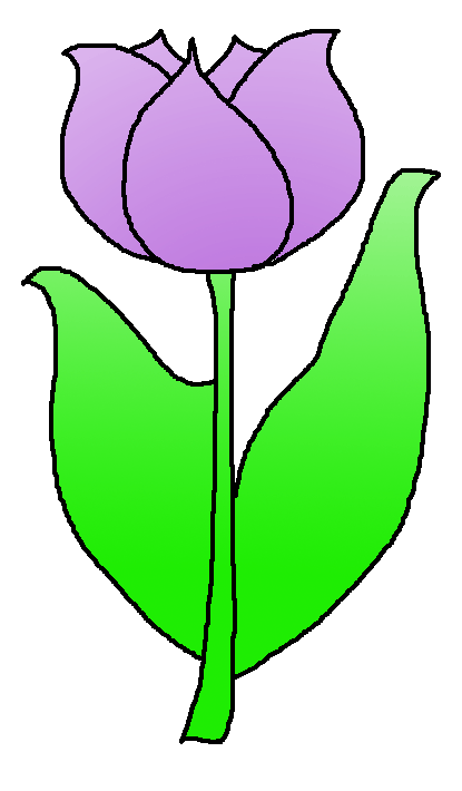 Image Of Tulip Download On Download Png Clipart