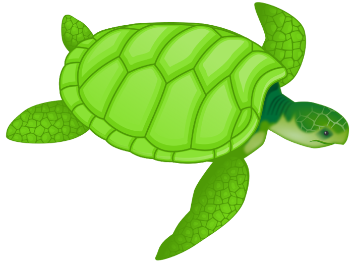 Free Turtle And Animations Png Image Clipart
