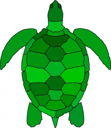 Baby Girl Turtle Images Png Image Clipart