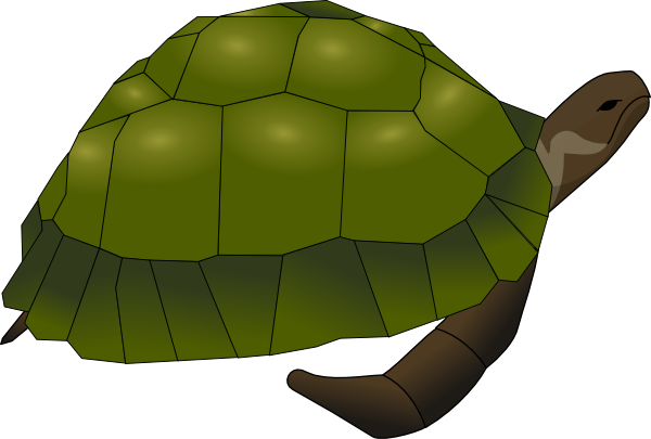 Free Turtle Hd Photos Clipart