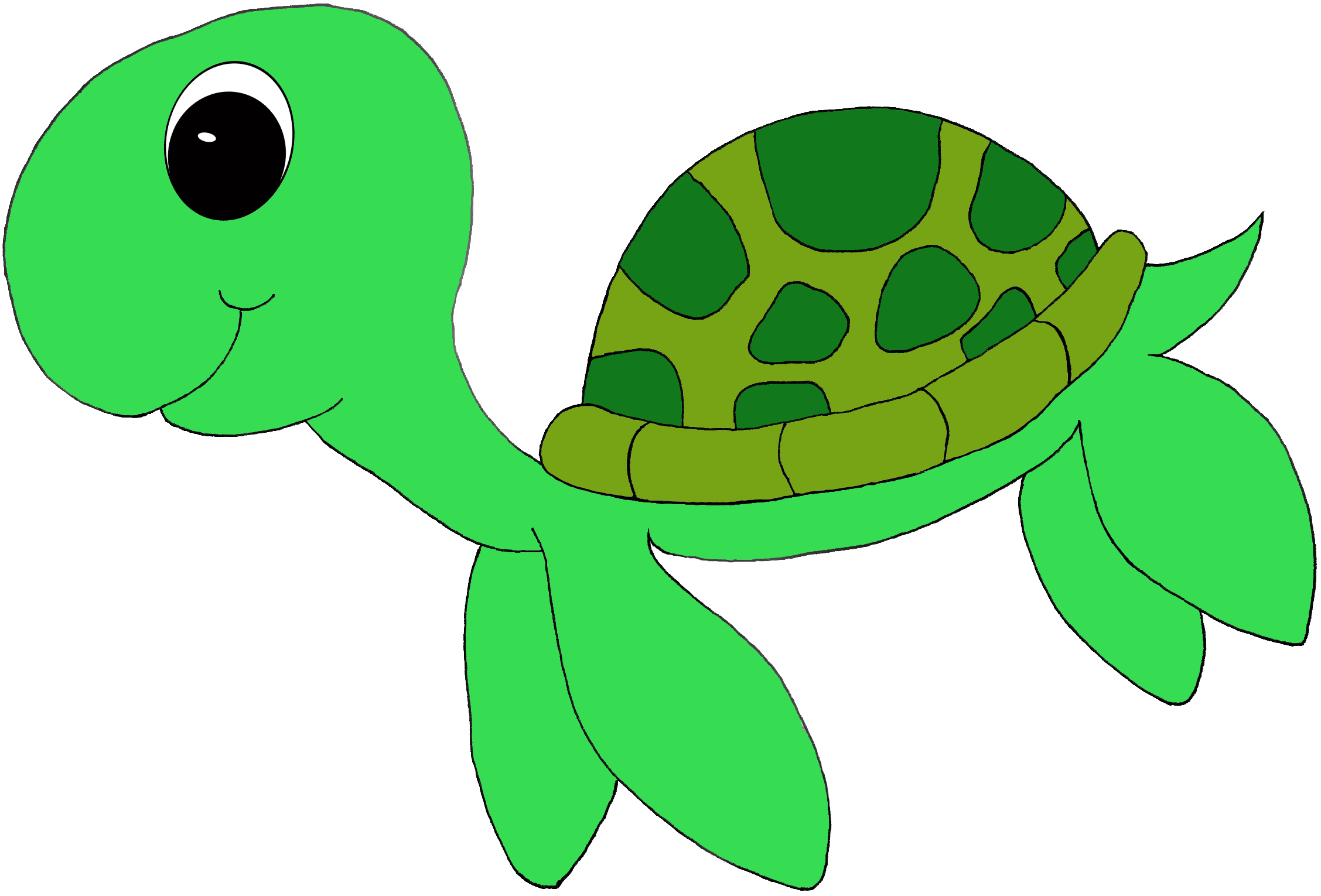 Sea Turtle Png Image Clipart