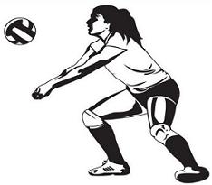 Free Volleyball Players Free Download Png Clipart