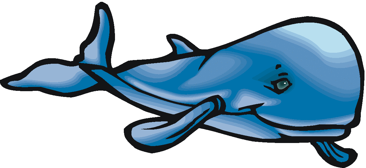 Whale And Illustration 2 Whale Vector Image Clipart