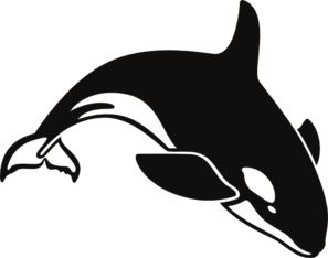 Killer Whale Cricut And Scal Free Download Png Clipart