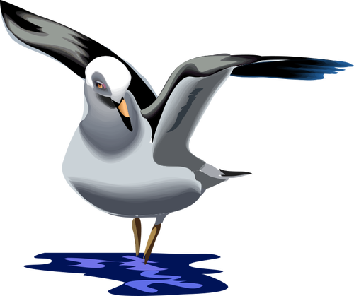 Of Seagull Flying Up Clipart