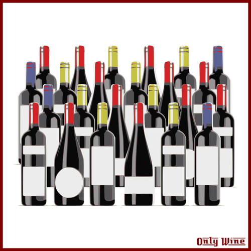 Different Wine Bottles Image Clipart