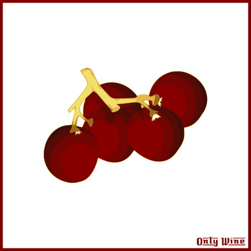 Red Grapes Image Clipart