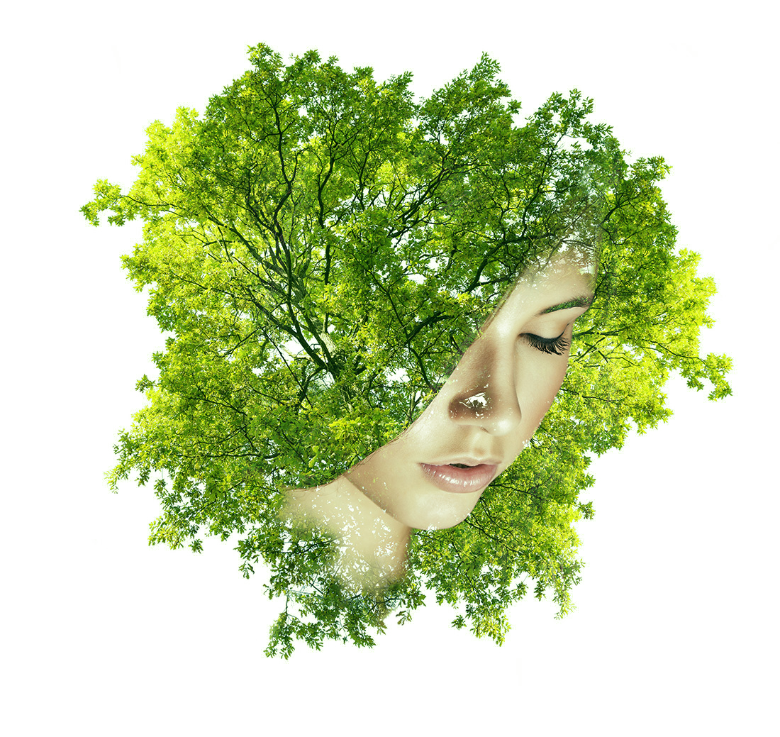 Head Woman Multiple Of Trees Face His Clipart