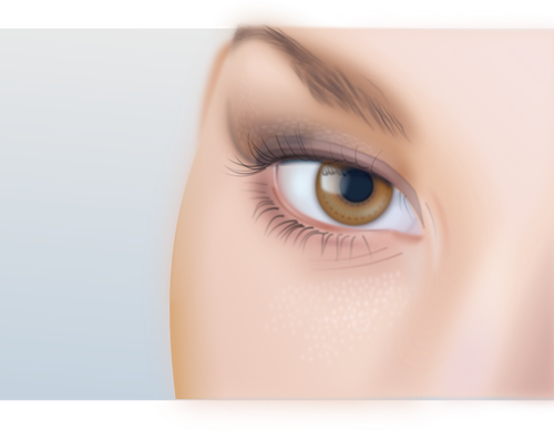 Of Woman'S Eye With Extreme Detail Clipart