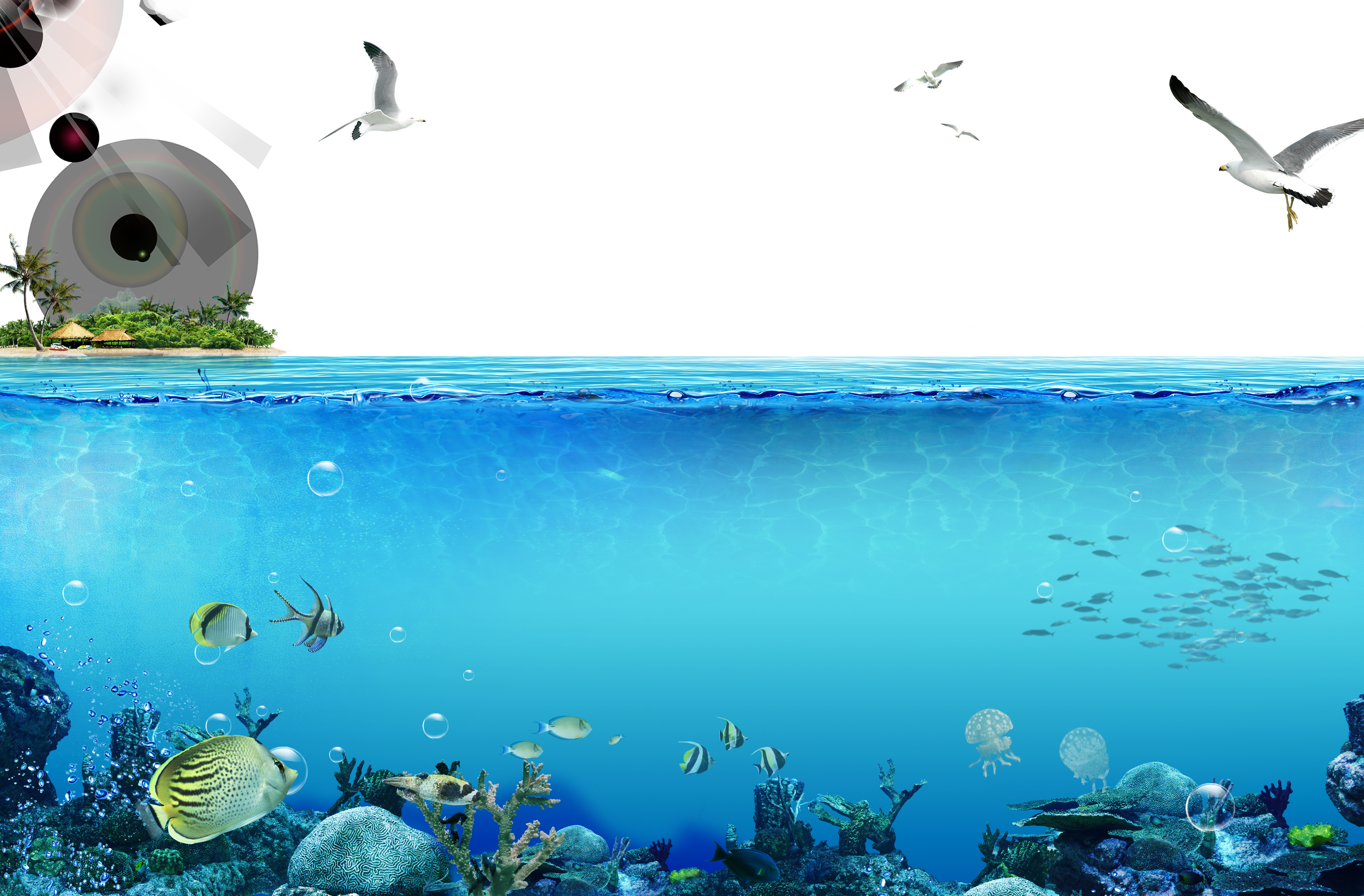 Underwater Singapore Fish Deep Sea World The Clipart