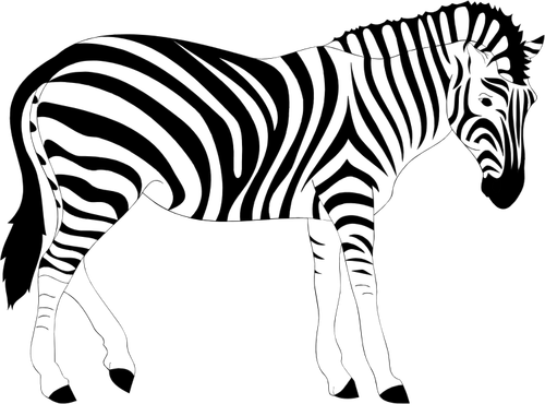 Zebra Animal Clipart