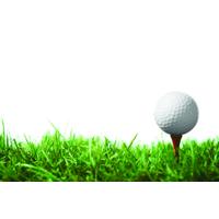 Download Golf Category Png Clipart And Icons Freepngclipart