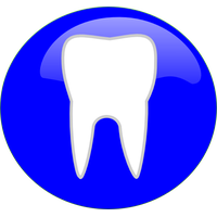 Download Tooth Funny Teeth Cartoon Picture Images Clipart PNG Free