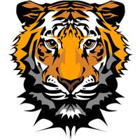 Download Tiger Category Png Clipart And Icons Freepngclipart