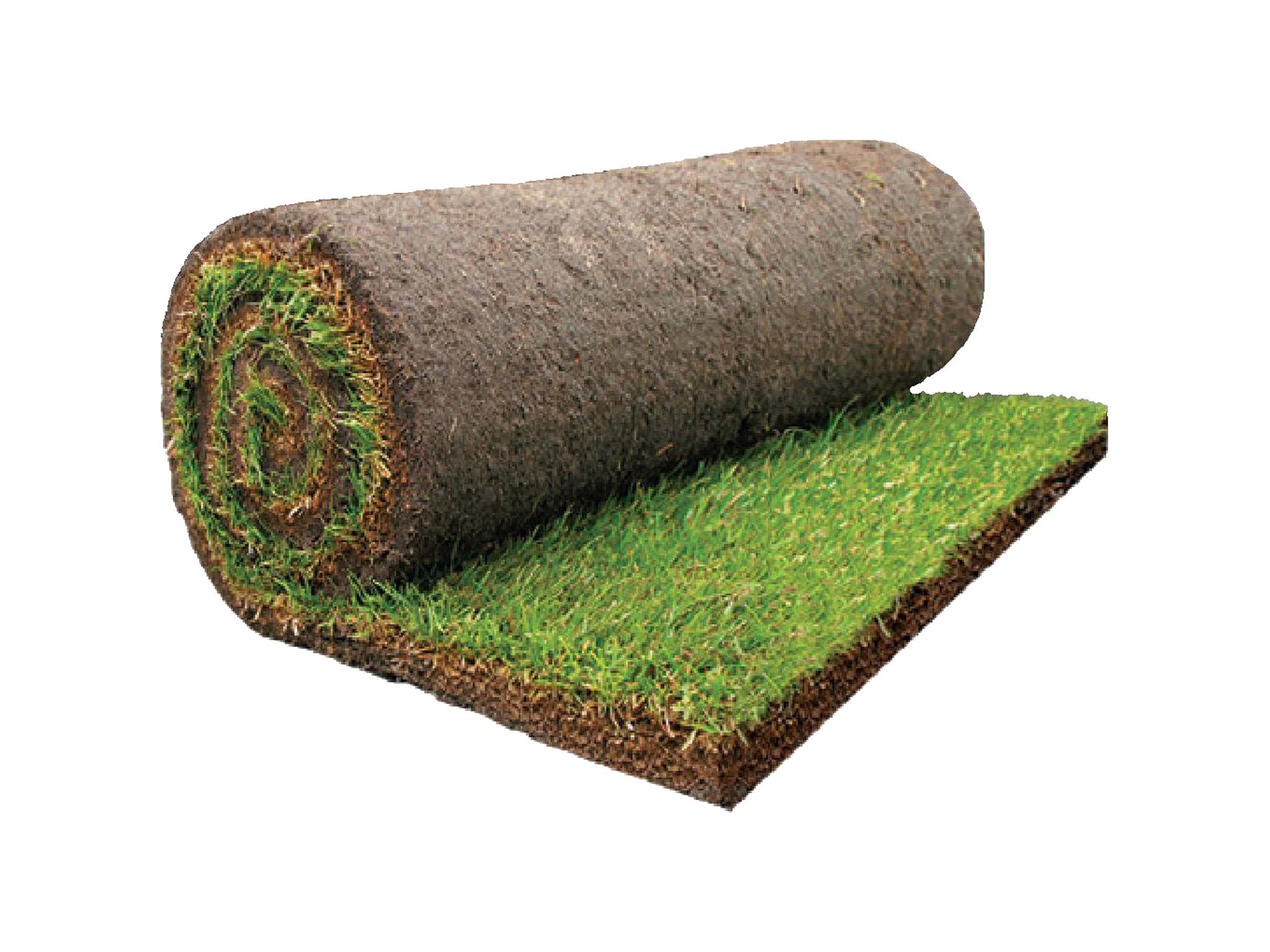 Green Grass Background Clipart